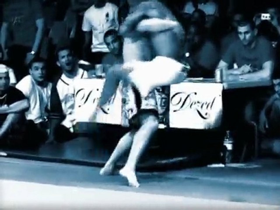 VIC 2010