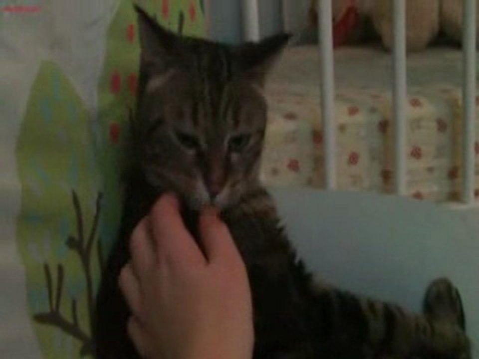hugo