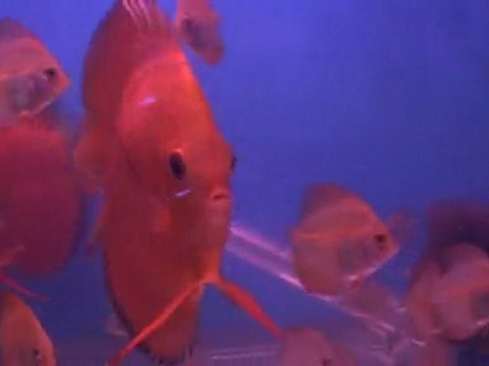 M2U00356