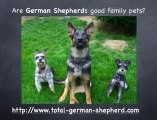 Are German Shepherds good family pets?