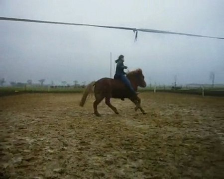 Travail à pied et monté avec Olina 23/01/2010