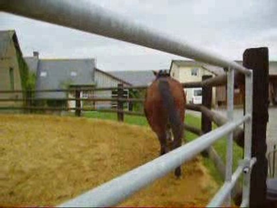 Perlani trotte à gauche
