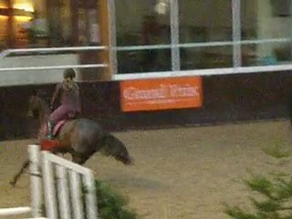 Qadfan Ceridwen Bois le Roi 24.01.10