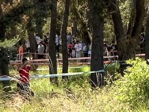 bestof rallye 309 16s lapierre mallet