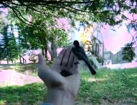 Dépendance affective - Maison de Thérapie Choix et Réalité