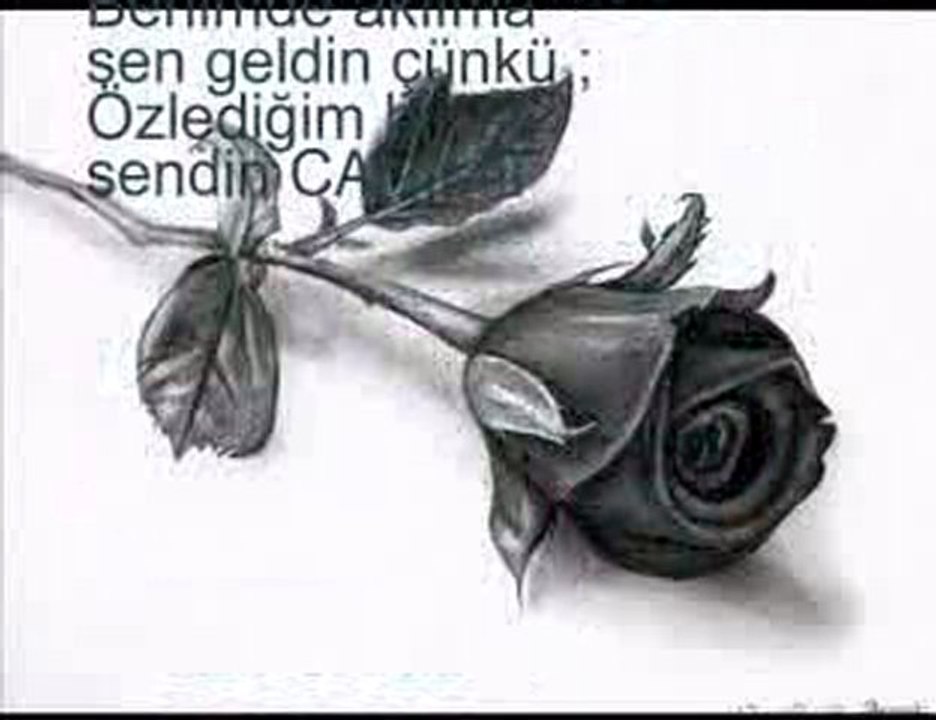 balım benim herşeyim