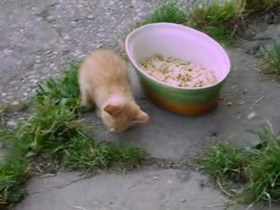 Orion fait le tour du plat !