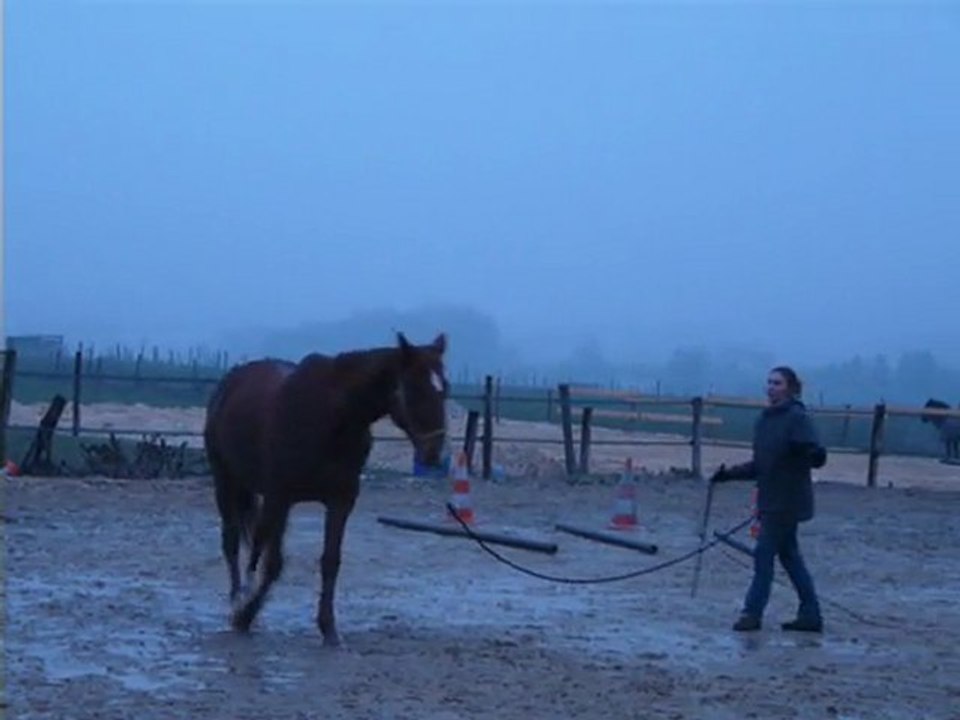 24 janvier 2010_2