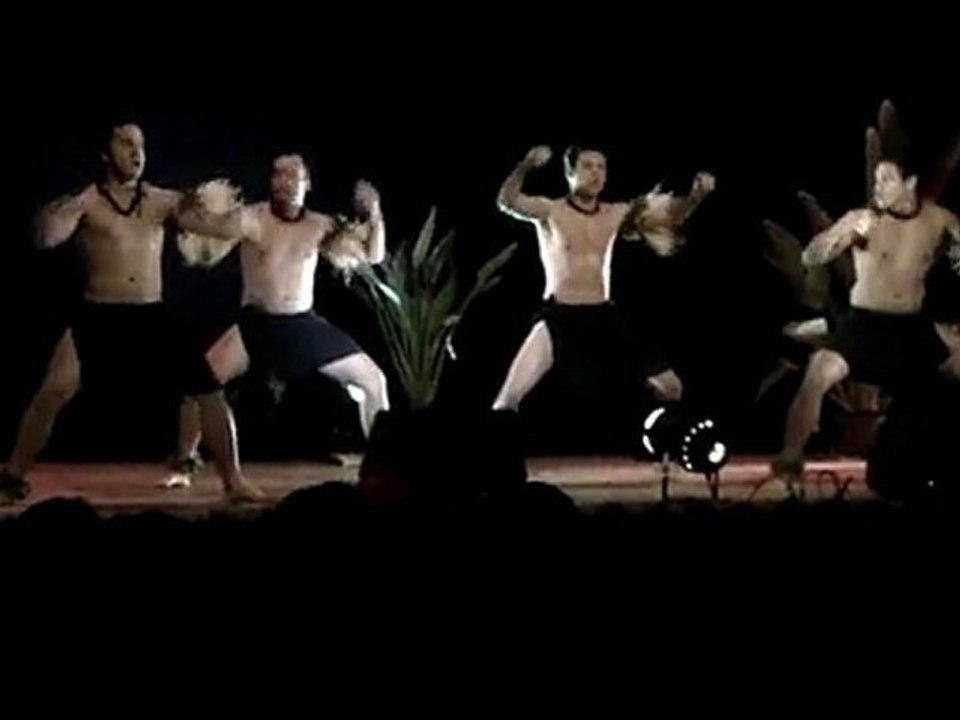 Etudiants de l'AEPF Toulouse Nuit Polynésienne à LAVAUR #5