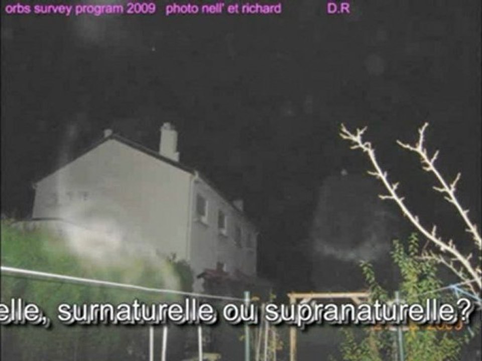 SPECTRES ZOOMORPHES : FLORILEGE D'APPARITIONS