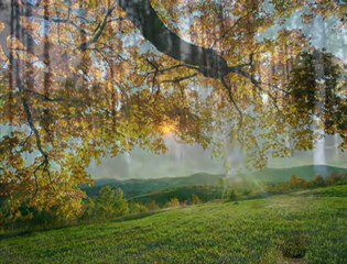 Gölhisarlı Şeref - BOĞAZ..... [HQ]