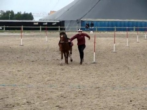 run & ride à pastré, Stand by