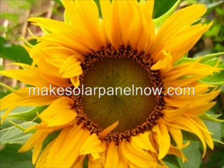 Advantages Of D I Y Solar Panel Installation