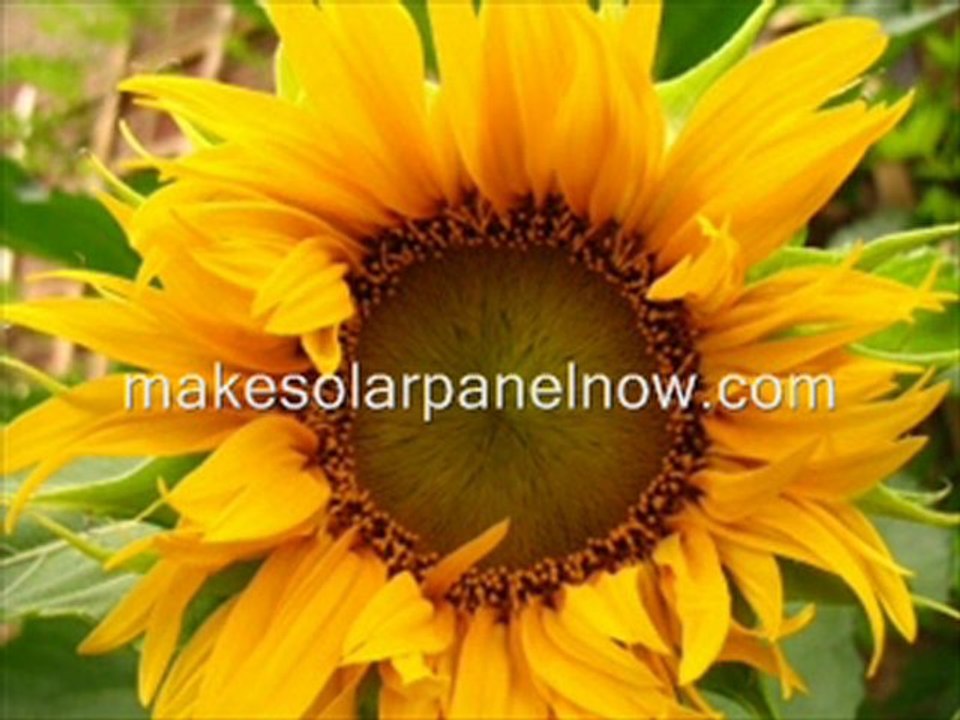 Advantages Of D I Y Solar Panel Installation