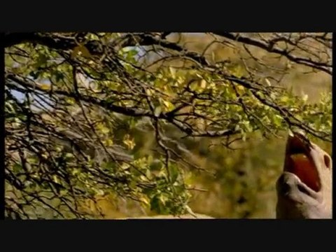 Sur La Terre Des Monstres Disparus 4