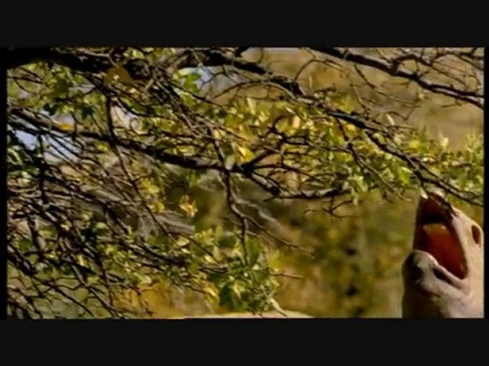 Sur La Terre Des Monstres Disparus 4