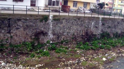 ordu-bülbülderesi ordu kent gazetesi