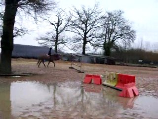 Radja de thouaré à l'entrainement: plat