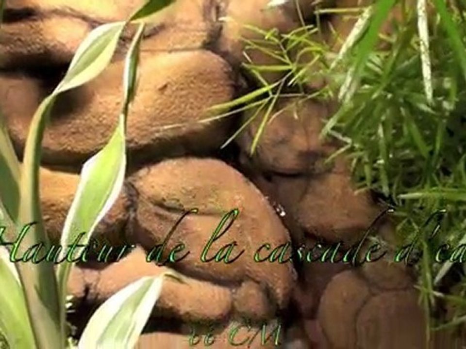 mur végétal, cascade d'eau