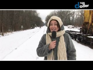 Doller Hedo du 24/01/10 au 30/01/10