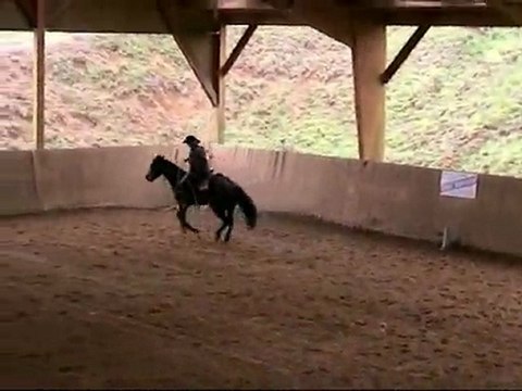 Laetitia & Bar Tuff Docs (reining)