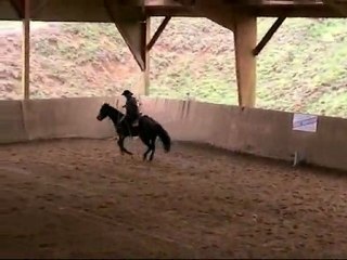 Laetitia & Bar Tuff Docs (reining)