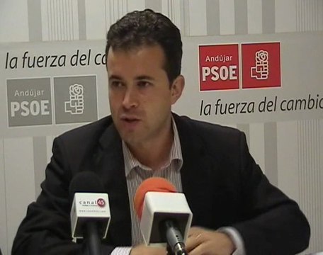 LOS SOCIALISTAS EN LAS INSTITUCIONES.-JULI0 MILLAN