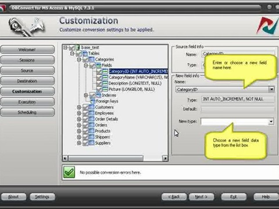 Database conversion tools for speed data migration