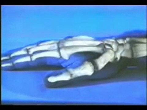 Harun Yahya Reflexion Approfondie Francais partie 2