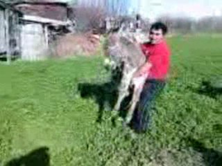 Ahiskali Turk YUNUS NANİZLİ