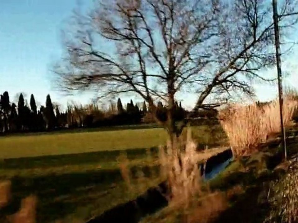 Looking movement