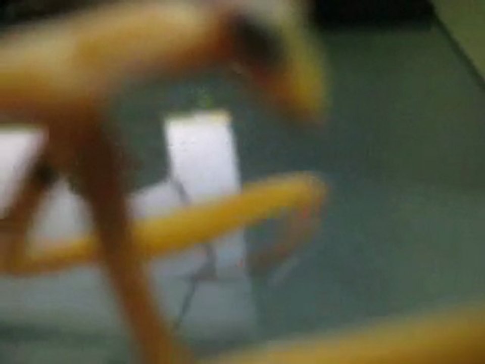 Praying Mantis