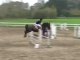 Miniature DailyMotion