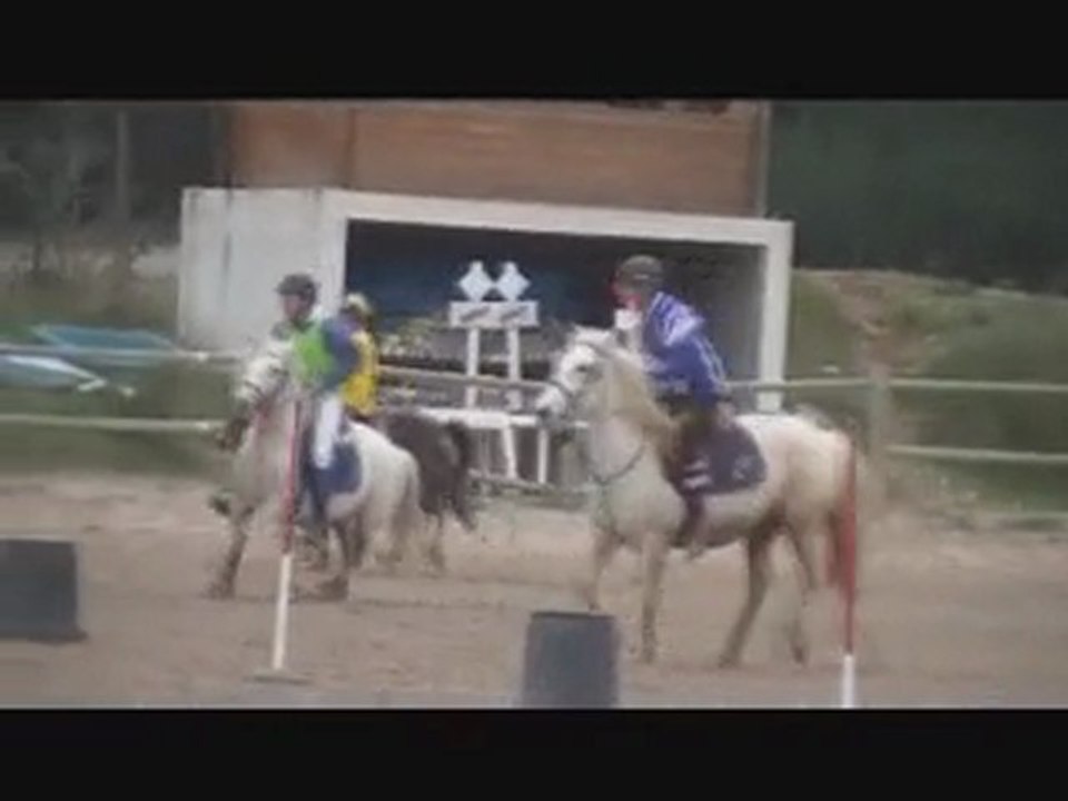 Pastré Les New Hope 24 Janvier 2010