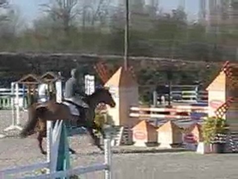 Vends jument CSO 9 ans