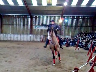 Blues Grass Horse Brothers - Le Dressage