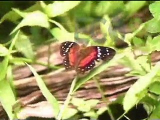 Por una Ecosociedad- Dario Salazar 57- Senado por el Polo