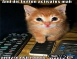 FUNNIEST KITTIES Very Funny Cats 45