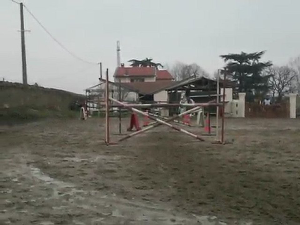 cavaletti avec kaline