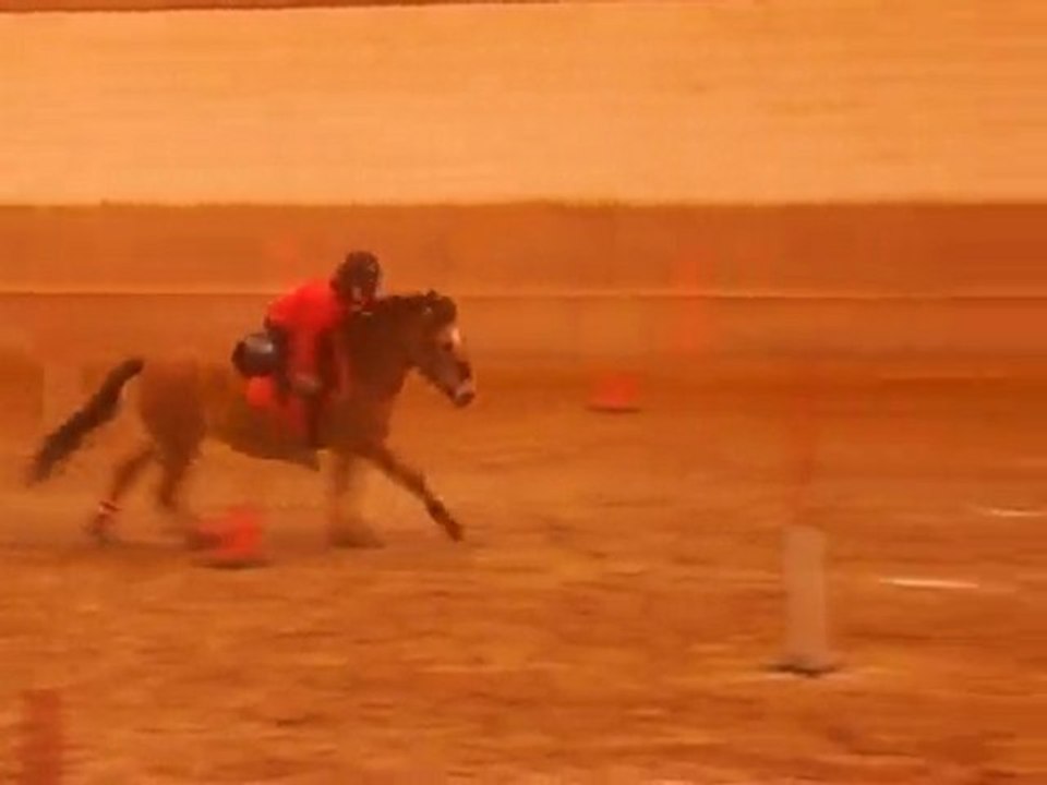 Apercu Rise Up' 24/01