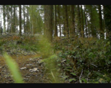 azereix le 25.01.2010 nono davelepec goms