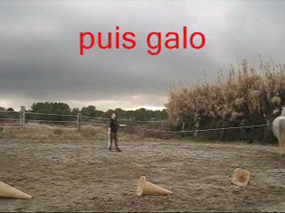 1ere seance longe 25-01-10