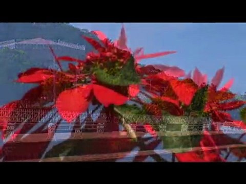 Discover San Sebastian Mexico via Puerto Vallarta by Promovi