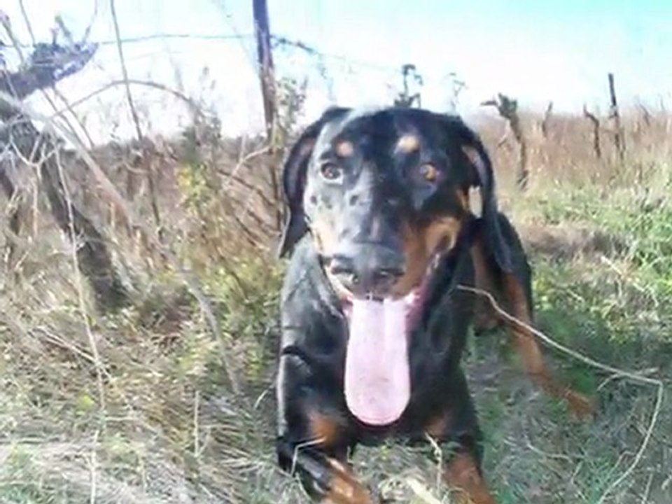 sortie du 23 et 24 janvier 2010