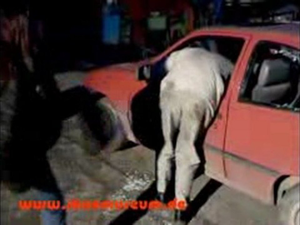 Mein Opel1-Car crush1