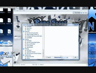 RUNESCAPE BOT 2010!!! WORK 100% + DOWNLOAD LINK