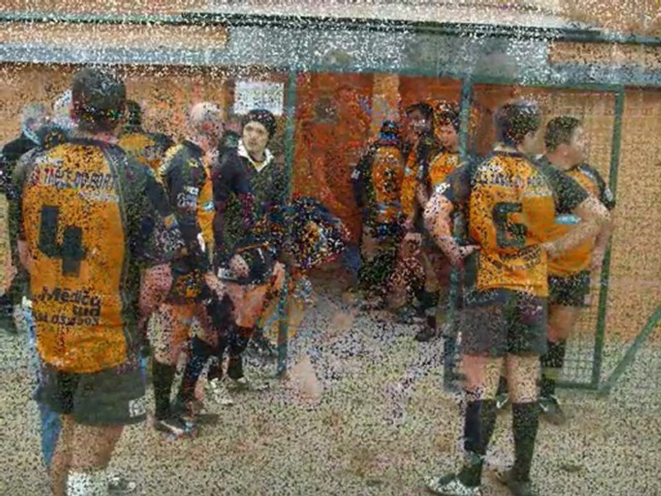 gapeau / chiens poubelle rcch le 24/01/2010