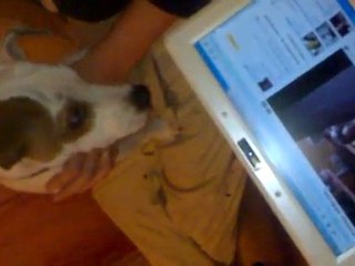 Stuart écoute les filles à Fab et Mag chanter