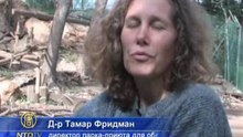 Пострадавшие от насилия обезьяны проходят реабилитацию