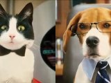 Como perros y gatos: La revancha de Kitty Galore - teaser